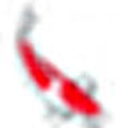 anrokoistore.com logo