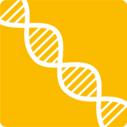 That DNA Company logo