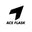 ACE Flask logo
