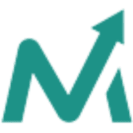 Lead Marketing Strategies logo