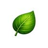 KindRoots Collective logo