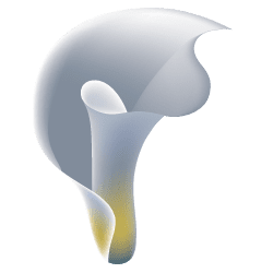 Andersonmaguire logo