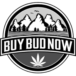 Buybudnow logo