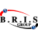 B.R.I.S. GROUP logo
