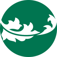 EaveSafe Gutter Protection logo