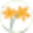The School of Natural Health Sciences logo