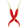Expressindiandelivered logo