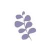 Bloom Studio logo