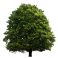 Inheritance Legal Services Ltd logo