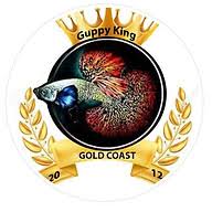 Guppyking logo
