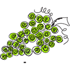 Italyabroad.com logo