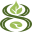 Balance8 Wellness logo