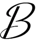 Bespokevites logo