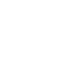 Lupella Digital Media logo