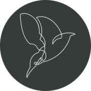Kingfisher Professional Services logo