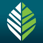 woodspring.com logo
