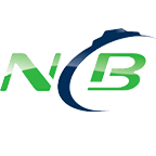 National Car Brokers logo
