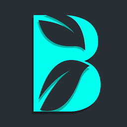 Braecroft logo