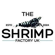 Theshrimpfactory logo