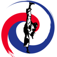 Kim's Taekwondo logo