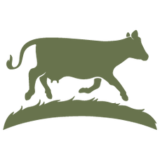 Sweet Grass Dairy logo