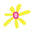 spearwoodflorist.com.au logo