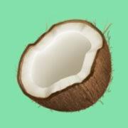 Coconut Technologies logo