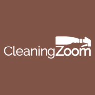 Cleaning Zoom logo