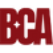Baby CEO Agency logo