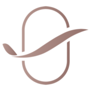Business Skies logo