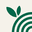Australian Primary Hemp logo