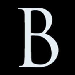 Boys in Bristol Photography logo