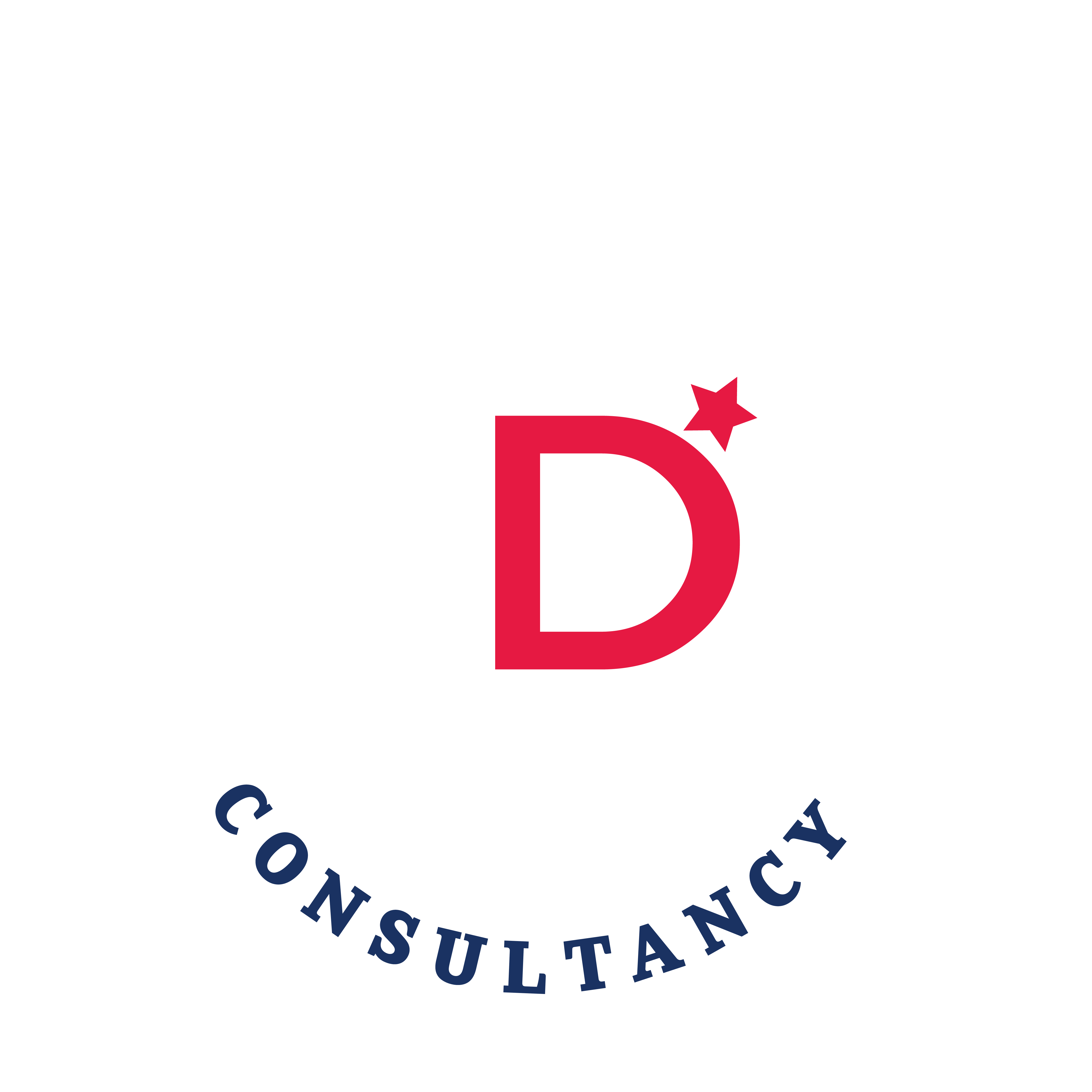 Adnconsultancy logo