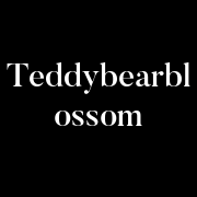teddybearblossom.square.site logo