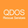 QDOS Breakdown logo