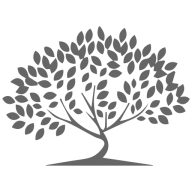 The Shutter Tree logo