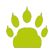 Kodiak Self Storage logo