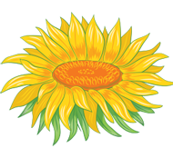 Naturalhealthorganics logo