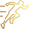 CoreOptimise™ logo