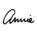 Annie Sloan Interiors Ltd logo