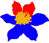 Brushbound logo
