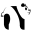 Pandaize logo