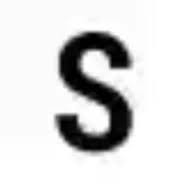 Savannah Executive Black Car logo