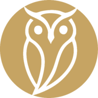 Bewisebusinesssolutions logo