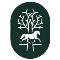 Blackprong logo