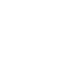 Merlin Architectural logo