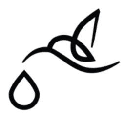 Colibritattoo logo