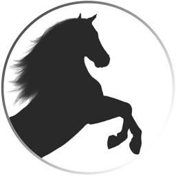 Fiscal Knights Accountants Ltd logo