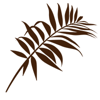 Timeless Skincare & Nutrition logo