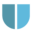 Trueside Information Security logo